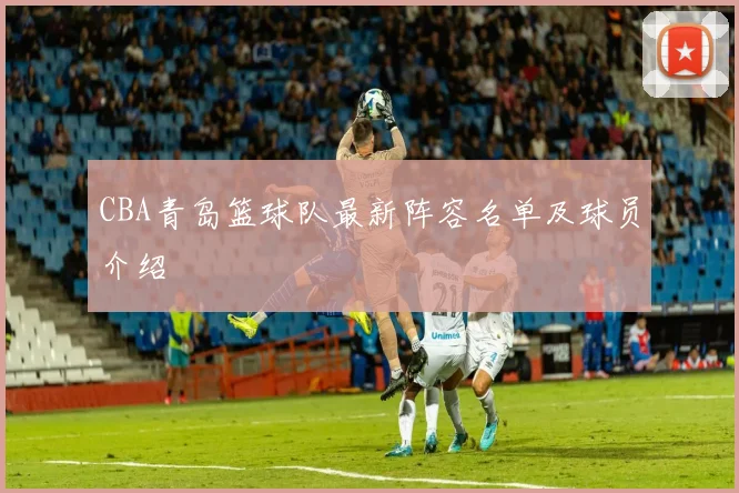 CBA青岛篮球队最新阵容名单及球员介绍