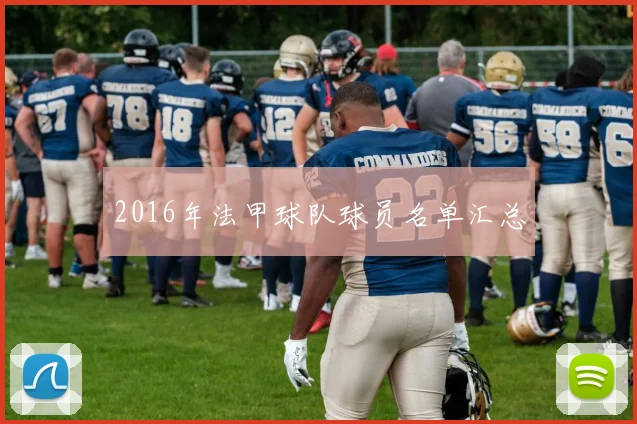 2016年法甲球队球员名单汇总