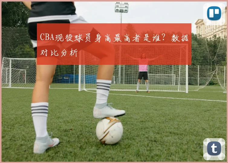 CBA现役球员身高最高者是谁？数据对比分析