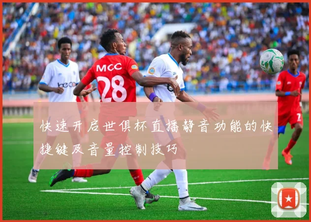 快速开启世俱杯直播静音功能的快捷键及音量控制技巧