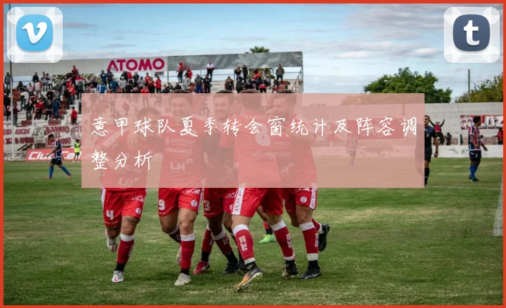 意甲球队夏季转会窗统计及阵容调整分析