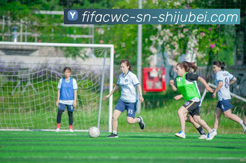 世界杯直播服务体系